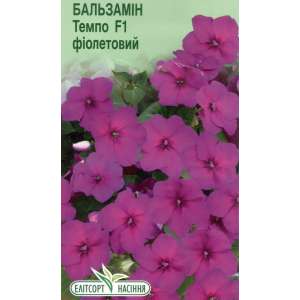 Бальзамин Темпо F1 фиолетовый - цветы, 5 семян, ТМ Элитсорт фото, цена